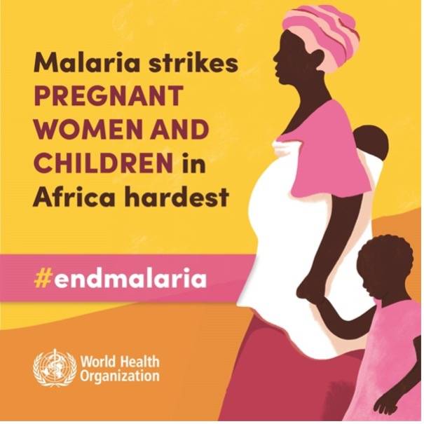 Neem and ACT Vs Malaria Nnamdi Azikiwe University